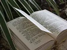 アーユルヴェーダの母体、ヒマラヤ。ここはかつて海だった場所 - アーユルヴェーダ - 海の病棟 | 福岡県大牟田市 不知火病院(うつ病の治療・入院・カウンセリング)