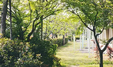 光や風など自然の癒しを感じることのできる環境 - 病棟のご紹介 | 福岡県大牟田市 不知火病院(うつ病の治療・入院・カウンセリング)